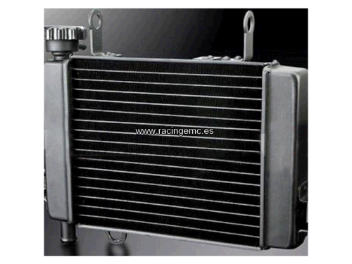 Radiador Agua Honda CBR125 04-08, CBR1000RR 06-16