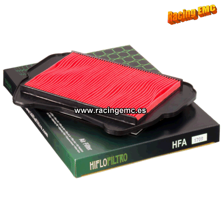 Filtro aire Hiflofiltro HFA1709