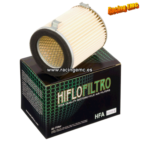 Filtro aire Hiflofiltro HFA3905