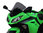 Cúpula Racing Ahumada Kawasaki 300 Ninja 13-15