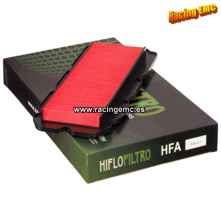 Filtro aire Hiflofiltro HFA1913
