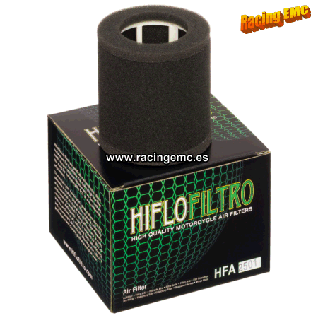 Filtro aire Hiflofiltro HFA2501