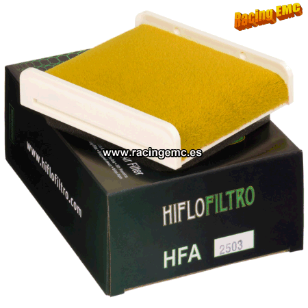 Filtro aire Hiflofiltro HFA2503