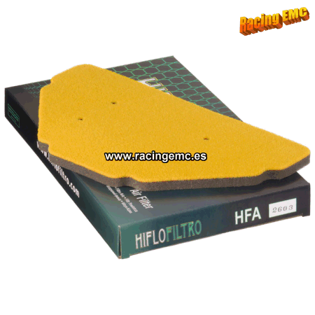 Filtro aire Hiflofiltro HFA2603