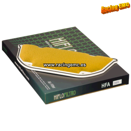 Filtro aire Hiflofiltro HFA2905