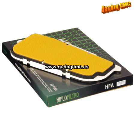 Filtro aire Hiflofiltro HFA2907