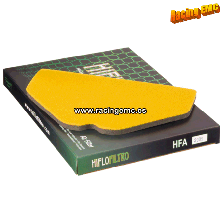 Filtro aire Hiflofiltro HFA2909