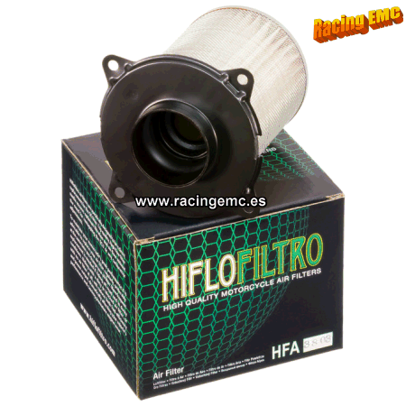 Filtro aire Hiflofiltro HFA3803