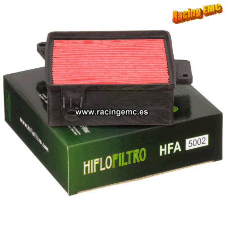Filtro aire Hiflofiltro HFA5002