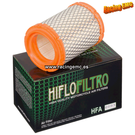 Filtro aire Hiflofiltro HFA6001