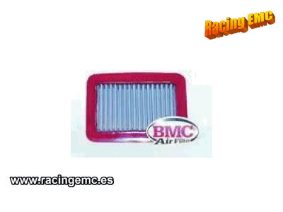 Filtro Aire BMC FM294/02