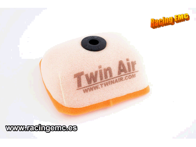 Filtro Aire Twin Air 150211