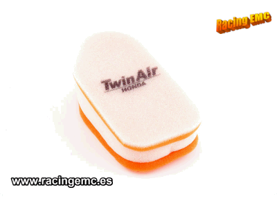 Filtro Aire Twin Air 150001