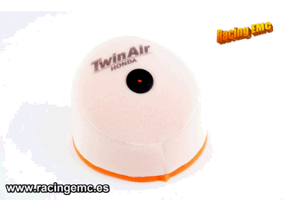 Filtro Aire Twin Air 150101