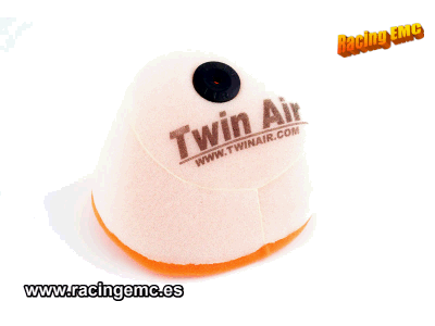 Filtro Aire Twin Air 150204