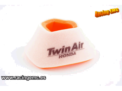 Filtro Aire Twin Air 150251