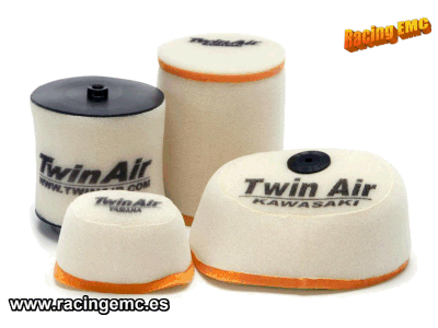 Filtro Aire Twin Air 150400