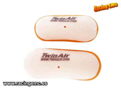 Filtro Aire Twin Air 158196