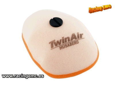 Filtro Aire Twin Air 158185
