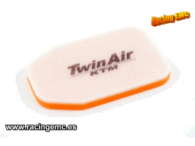 Filtro Aire Twin Air 154008