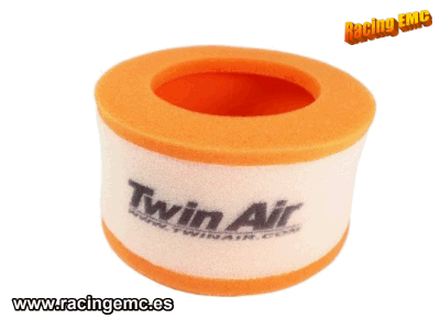 Filtro Aire Twin Air 155003