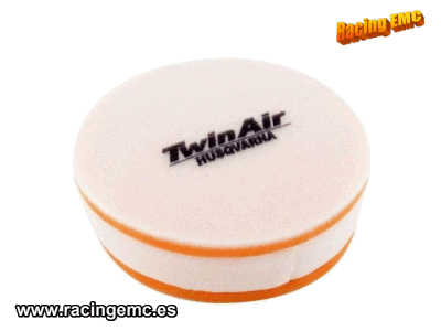 Filtro Aire Twin Air 155500