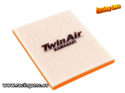 Filtro Aire Twin Air 151400