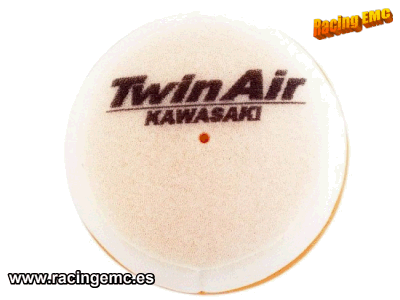 Filtro Aire Twin Air 151336