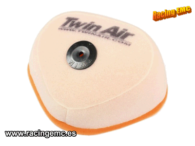 Filtro Aire Twin Air 151120