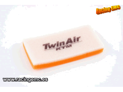 Filtro Aire Twin Air 154004