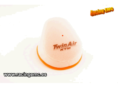Filtro Aire Twin Air 154104