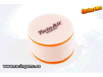 Filtro Aire Twin Air 153110