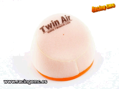 Filtro Aire Twin Air 153108