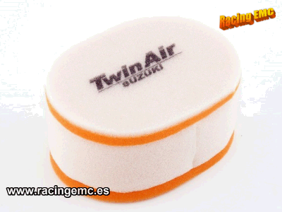 Filtro Aire Twin Air 153602