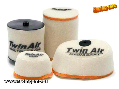 Filtro Aire Twin Air 158155