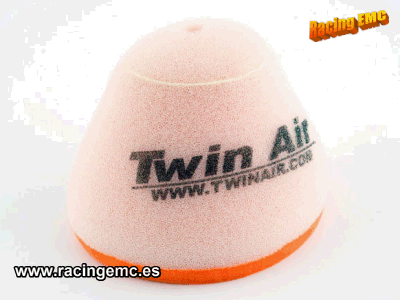Filtro Aire Twin Air 152010