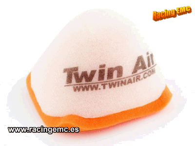Filtro Aire Twin Air 152419