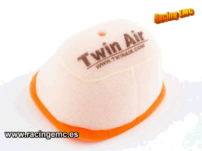 Filtro Aire Twin Air 152382